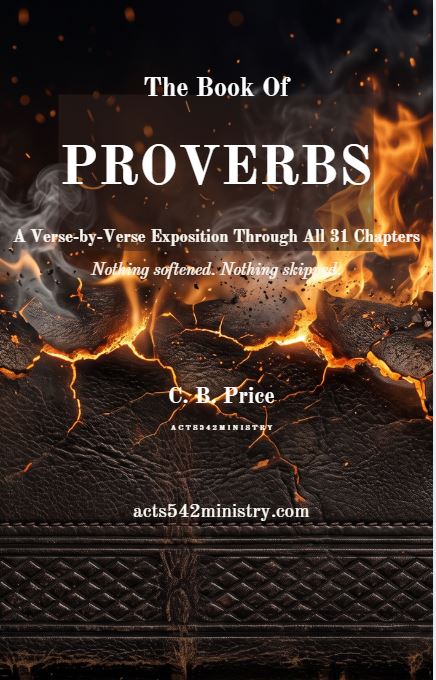 Proverbs: Wisdom from the KING &mdash; book cover